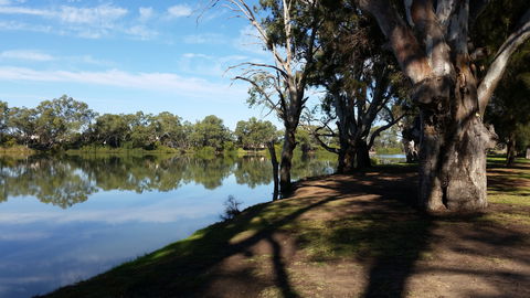 Murray River National Park - Katarapko - Accommodation Noosa 0