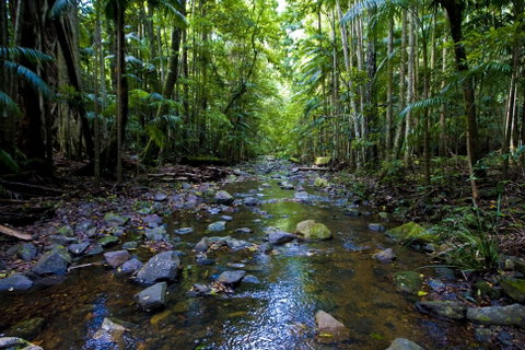 Nambucca Valley - Accommodation Noosa 0