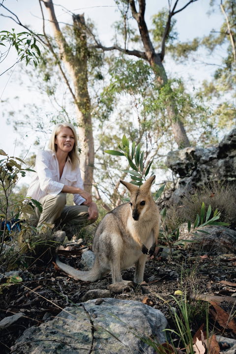 North Burnett - Mount Perry (via Monto) To Biggenden To Childers - Accommodation Noosa 2