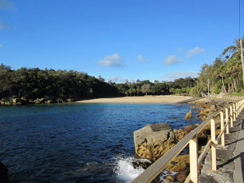 Shelly Beach: Manly - Accommodation Noosa 0