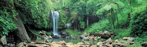Tamborine National Park - Accommodation Noosa 0