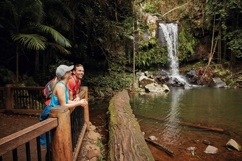 Tamborine National Park - Accommodation Noosa 1