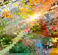 The Blue Mountains Botanic Garden Mount Tomah - Accommodation Noosa