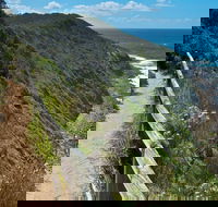 The Coast Walking Track - Accommodation Noosa