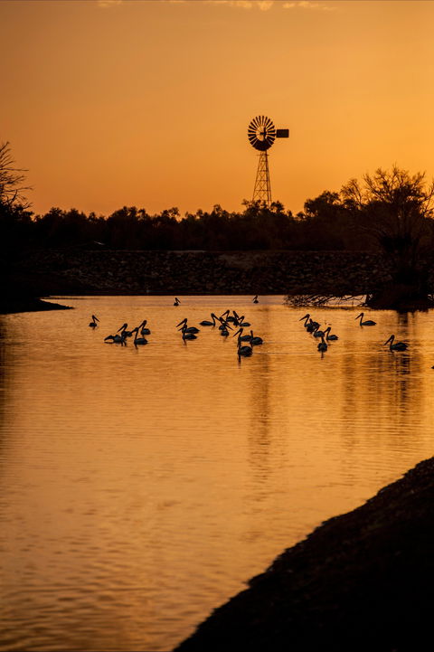 Thomson River, Longreach - Accommodation Noosa 2