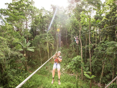 TreeTop Challenge - Sunshine Coast - Accommodation Noosa 2