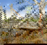 Wandoan - Accommodation Noosa