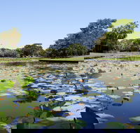 Anderson Park Botanic Gardens - Accommodation Noosa