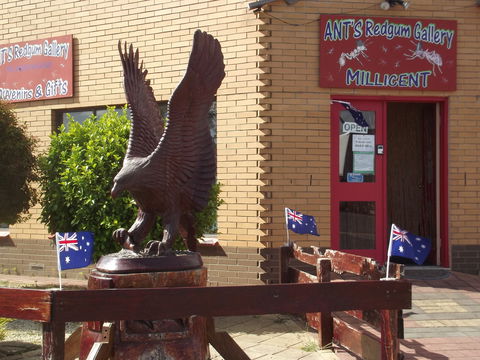 Ant's Redgum Gallery - Accommodation Noosa 0