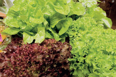 Bundaberg To Childers And Woodgate Day Trip - Accommodation Noosa 1