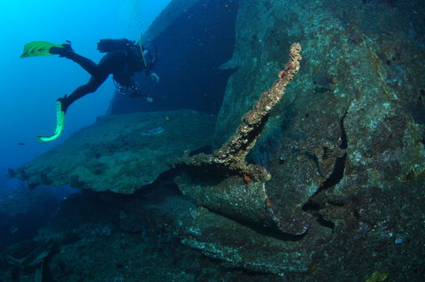 Cementco Dive Site - Accommodation Noosa 1
