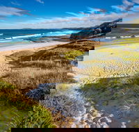 Coomee Nulunga Beach - Accommodation Noosa