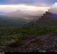 Cunninghams Gap and Spicers Gap Main Range National Park - Accommodation Noosa