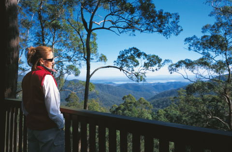 D'Aguilar National Park - Accommodation Noosa 0