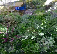 Down to Earth Permaculture - Accommodation Noosa