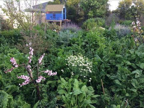Down To Earth Permaculture - Accommodation Noosa 0