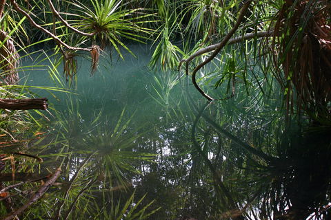 Howard Springs Nature Park - Accommodation Noosa 2