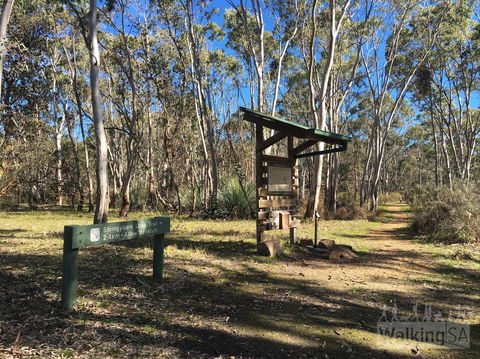 Kaiserstuhl Conservation Park - Accommodation Noosa 0
