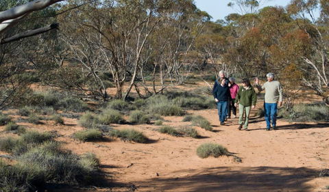 Mallee Stop Walking Track - Accommodation Noosa 0