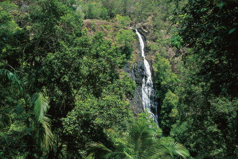 Mapleton Falls National Park - Accommodation Noosa 0