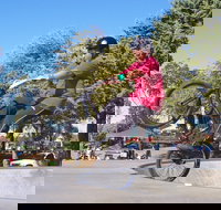 Millicent Skatepark - Accommodation Noosa