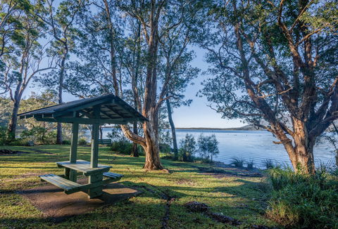 Queens Lake Picnic Area - Accommodation Noosa 0