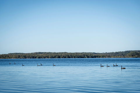 Queens Lake Picnic Area - Accommodation Noosa 1