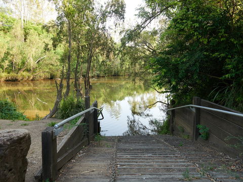 Shapcott Park - Accommodation Noosa 0