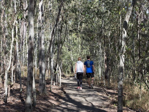 Six Mile Creek, Bluff Lookout And Little White Rock Trails - Accommodation Noosa 0