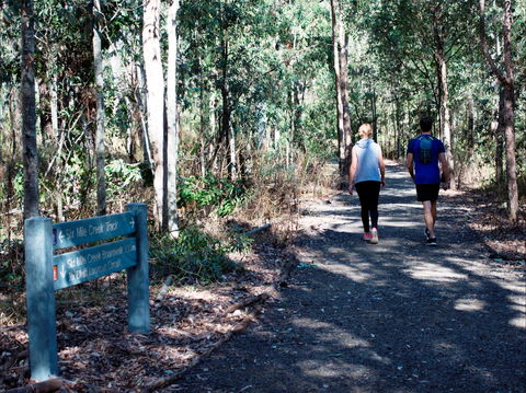 Six Mile Creek, Bluff Lookout And Little White Rock Trails - Accommodation Noosa 2