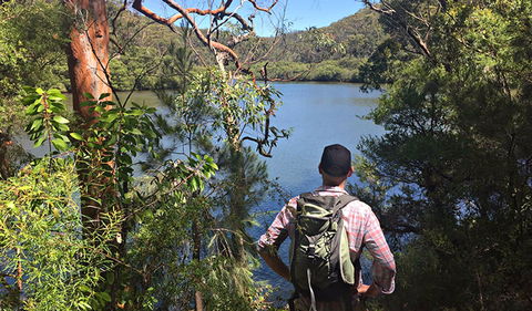 Sphinx Memorial To Bobbin Head Loop Track - Accommodation Noosa 0