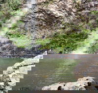 Twin Falls Circuit Springbrook National Park - Accommodation Noosa