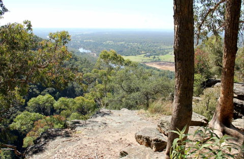 Yellow Rock Lookout - Accommodation Noosa 0