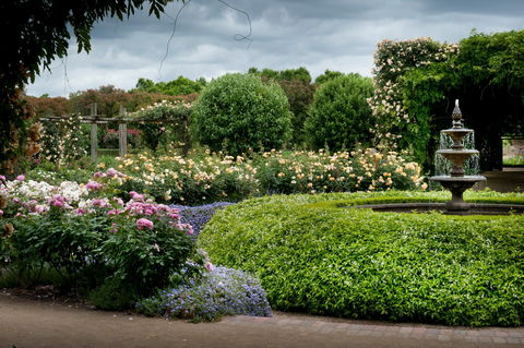 Alowyn Gardens And Nursery - Accommodation Noosa 1