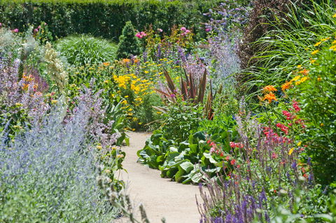 Alowyn Gardens And Nursery - Accommodation Noosa 2