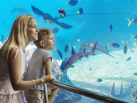 Australia's Sea World - Accommodation Noosa 2
