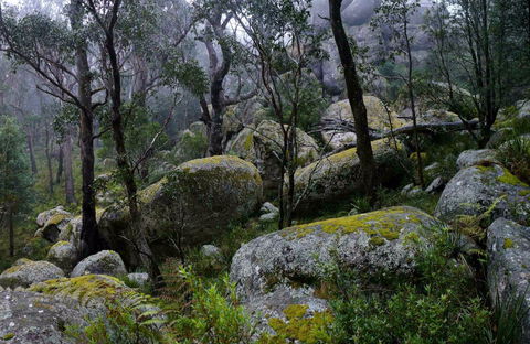 Cathedral Rock Track - Accommodation Noosa 0