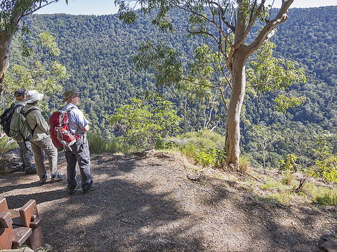 Caves Circuit, Lamington National Park - Accommodation Noosa 0