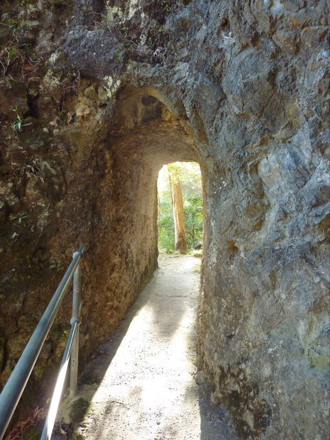 Caves Circuit, Lamington National Park - Accommodation Noosa 1