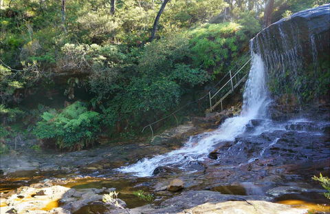 Charles Darwin Walk - Accommodation Noosa 0