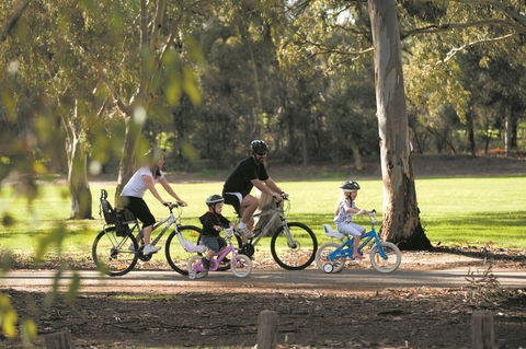 Coast To Vines Rail Trail - Accommodation Noosa 1