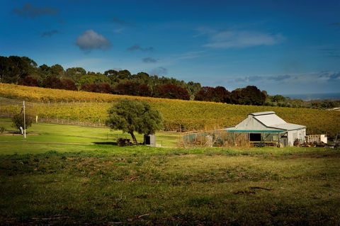 Coast To Vines Rail Trail - Accommodation Noosa 2