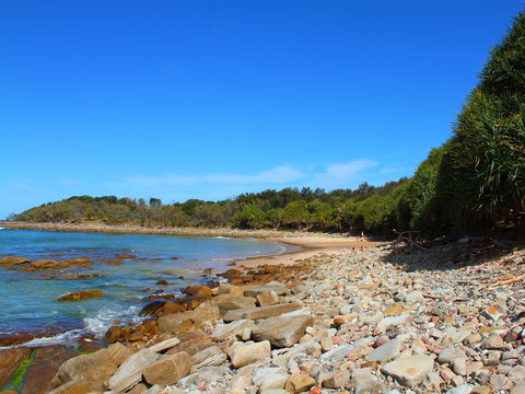 Convent Beach - Accommodation Noosa 2