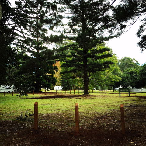 Coopernook Forest HQ - Accommodation Noosa 2
