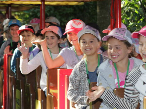Currumbin Wildlife Sanctuary - Accommodation Noosa 1