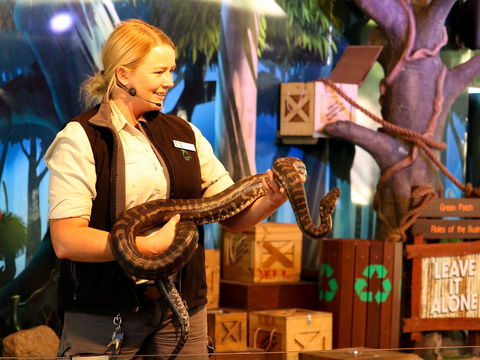 Currumbin Wildlife Sanctuary - Accommodation Noosa 2