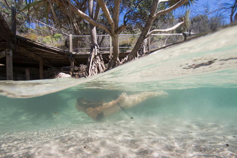 Eli Creek - Accommodation Noosa 2