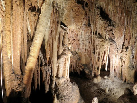 Jillabenan Cave - Accommodation Noosa 0