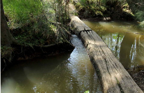 Second Ponds Creek Walk - Accommodation Noosa 0