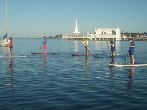WSUP Stand Up Paddle Boarding - Accommodation Noosa 0